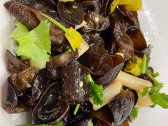 -东方饺子王(新奥购物中心店)