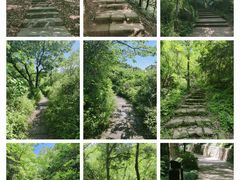 -杭州半山国家森林公园