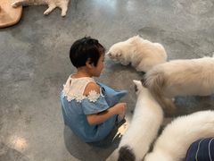 -瞄一喵猫咖(格力海岸店)