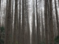 -上海怡沁园度假酒店