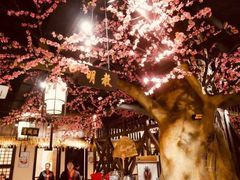 -风波庄(罍街分舵)