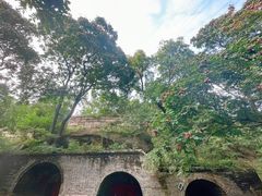 -北京凤凰岭