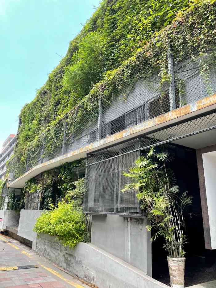 海敢小鱿鱼(海峡设计文创园店)