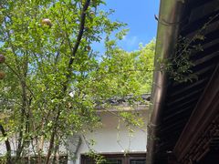 -西园寺素食(西园弄戒幢律寺店)
