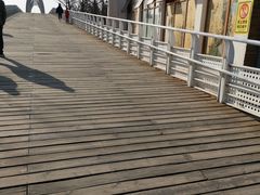 -大兴滨河森林公园