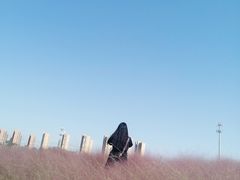 -映月湖中央公园