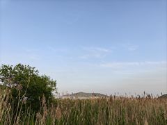-蠡湖大桥公园