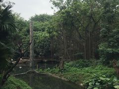 -广州长隆野生动物世界