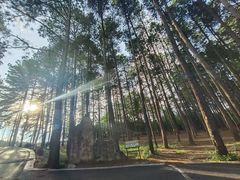 -龙架山森林公园