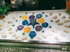 -芭菲盛宴·环球美食(解放碑英利国际店)