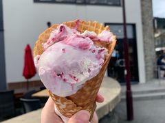 -Patagonia Chocolates(皇后镇店)