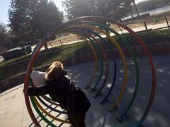 -大兴滨河森林公园