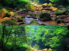 -碧峰峡风景区