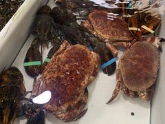 -南沙十九涌渔人码头-南门