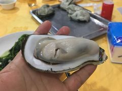 -蚝专家(北滘店)