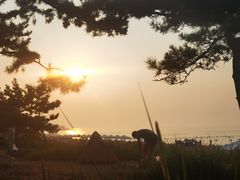 -威海国际海水浴场旅游区