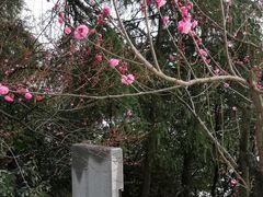 -雨花台烈士纪念馆