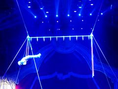 -珠海横琴长隆《卡卡虎奇遇记》