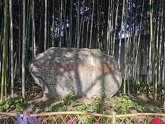 -上海醉白池公园