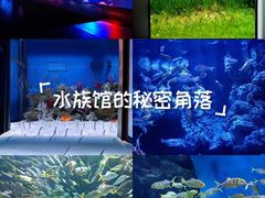 -成都浩海立方海洋公园