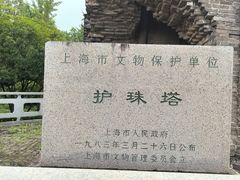 -上海佘山国家森林公园天马山园