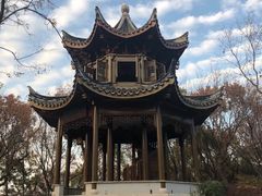 -上海市保健医疗中心