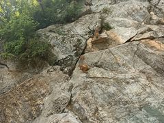 -黔灵山公园