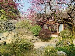 -杭州植物园