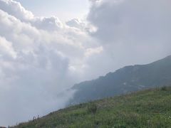 -白草畔自然风景区