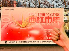 -金茂览秀城
