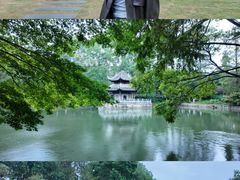 -习家池