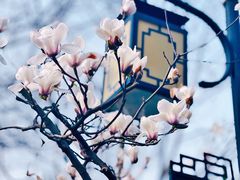 -白马涧龙池景区