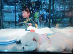 -宠物世家(仲盛世界商城店)