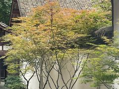 -成都杜甫草堂博物馆