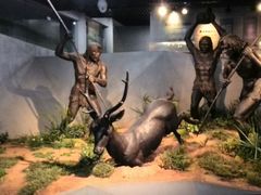 -北京周口店北京人遗址博物馆