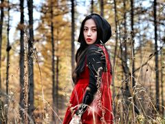 -塞罕坝国家级自然保护区