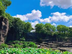 -广州莲花山旅游区