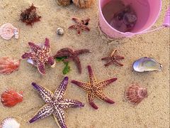 -北海金海湾红树林生态旅游区