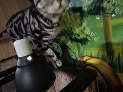 -藦茜花园宠物主题亲子互动体验馆(国顺东路店)