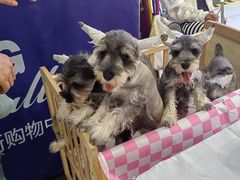 -北京华联购物中心(同成街店)