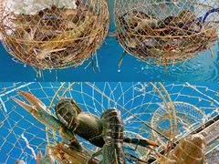 -SHRIMP CLUB万东餐饮钓虾·清吧