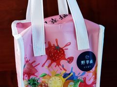 -野萃山·潮汕厚果汁(十亩地店)