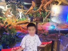 -嘉荫恐龙国家地质公园
