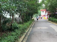 -中国彩灯博物馆