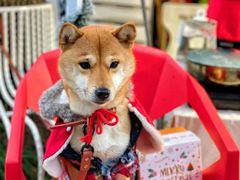 -老外街