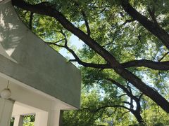 -湖北美术学院(昙华林校区)