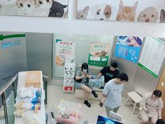 -爱侣宠医·鹦鹉专科·小型哺乳类·异宠专科(灵石路店)