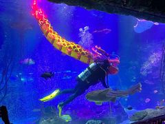 -沈阳海洋探索中心