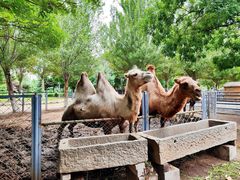 -长白岛森林公园