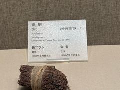 -敦煌市博物馆